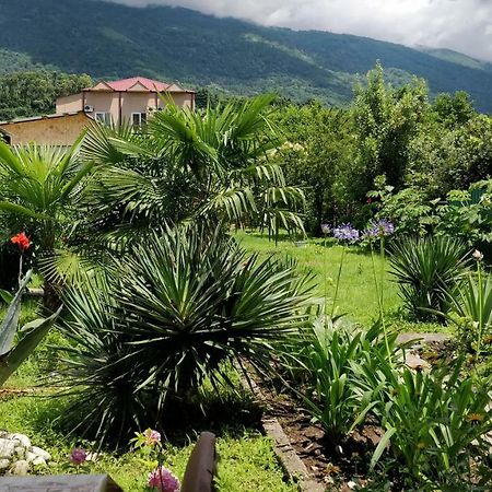 Tikhaya Gavan Guest House Gagra Exterior photo