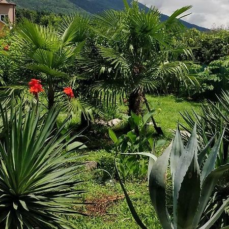 Tikhaya Gavan Guest House Gagra Exterior photo