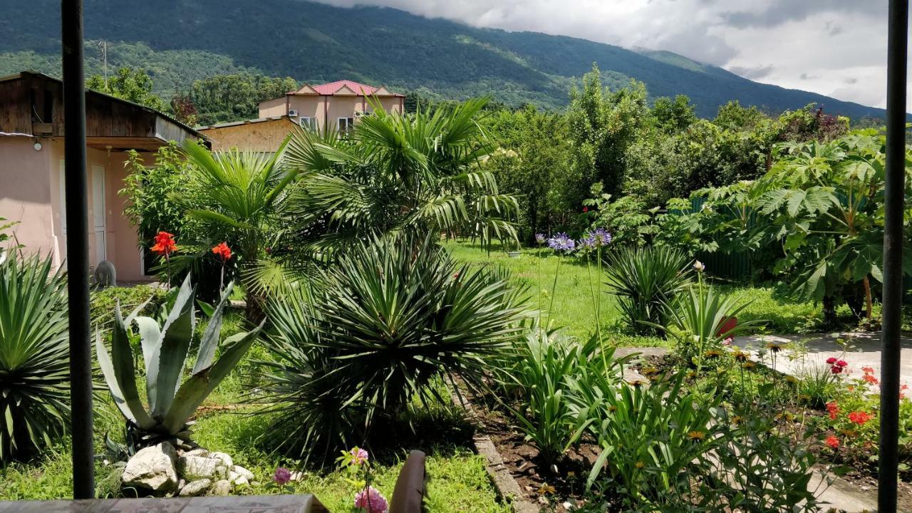 Tikhaya Gavan Guest House Gagra Exterior photo