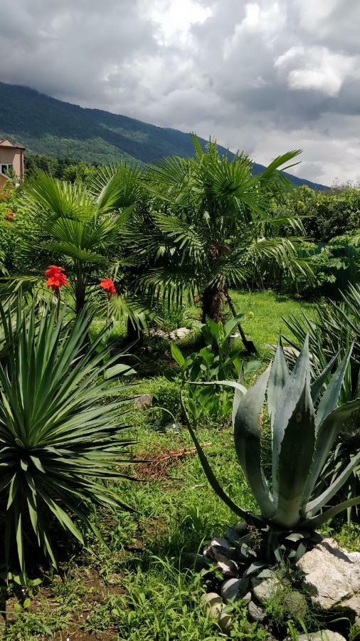 Tikhaya Gavan Guest House Gagra Exterior photo